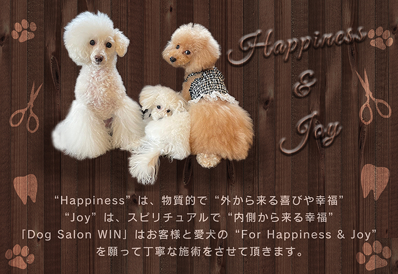 “Happiness”は、物質的で“外から来る喜びや幸福”“Joy”は、スピリチュアルで“内側から来る幸福”「Dog Salon WIN」はお客様と愛犬の“For Happiness & Joy”を願って丁寧な施術をさせて頂きます。
